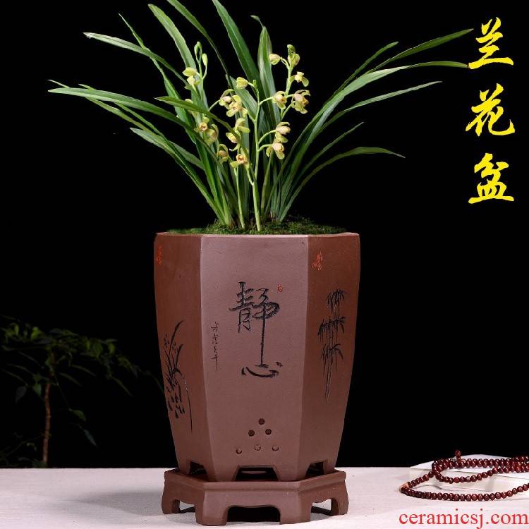 Boutique purple sand flowerpot orchid basin carved by hand draw the six - party clivia bluegrass orchid flower POTS with tray is special