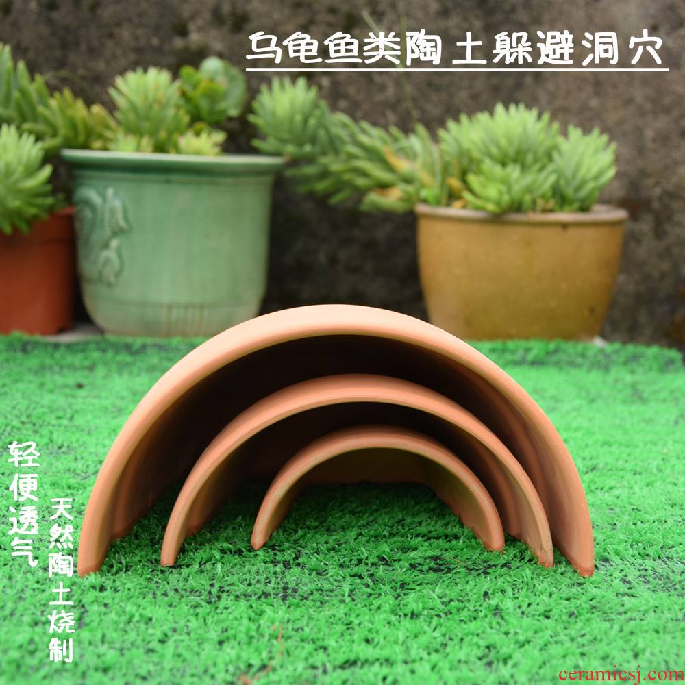 The tortoise tiles yellow rim tortoise climb a cave tao humidifying escape The tortoise fish house nest from roof terrace landscape crawler