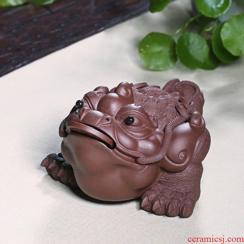 Qiao mu YH purple sand sculptors to hide old checking purple clay golden toad tea pets play tea furnishing articles