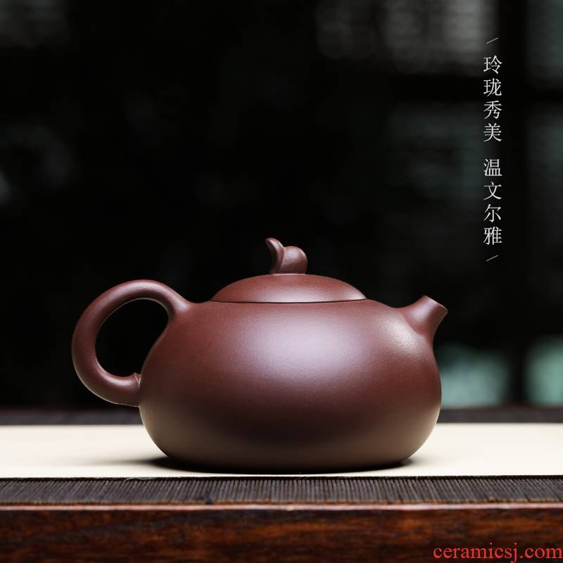 Qiao mu YH yixing it all pure hand undressed ore teapot creative shih purple clay pot of kung fu tea set