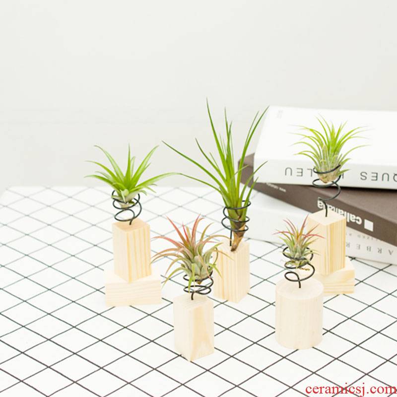 Air pineapple office desktop soilless potted the plants in addition to formaldehyde flowers contain base stents, green plant