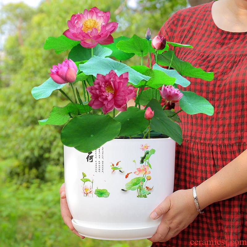 Plastic contracted extra large manufacturers shot other bowl lotus lotus flower pot lotus nonporous hydroponic imitation ceramic flower pot