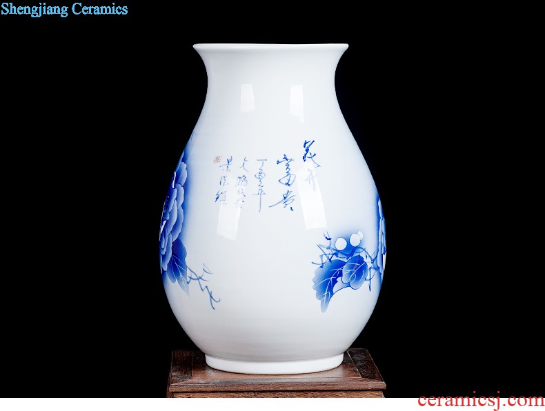 Jingdezhen ceramics hand-painted Chinese famille rose porcelain vase furnishing articles of handicraft wine porch sitting room adornment