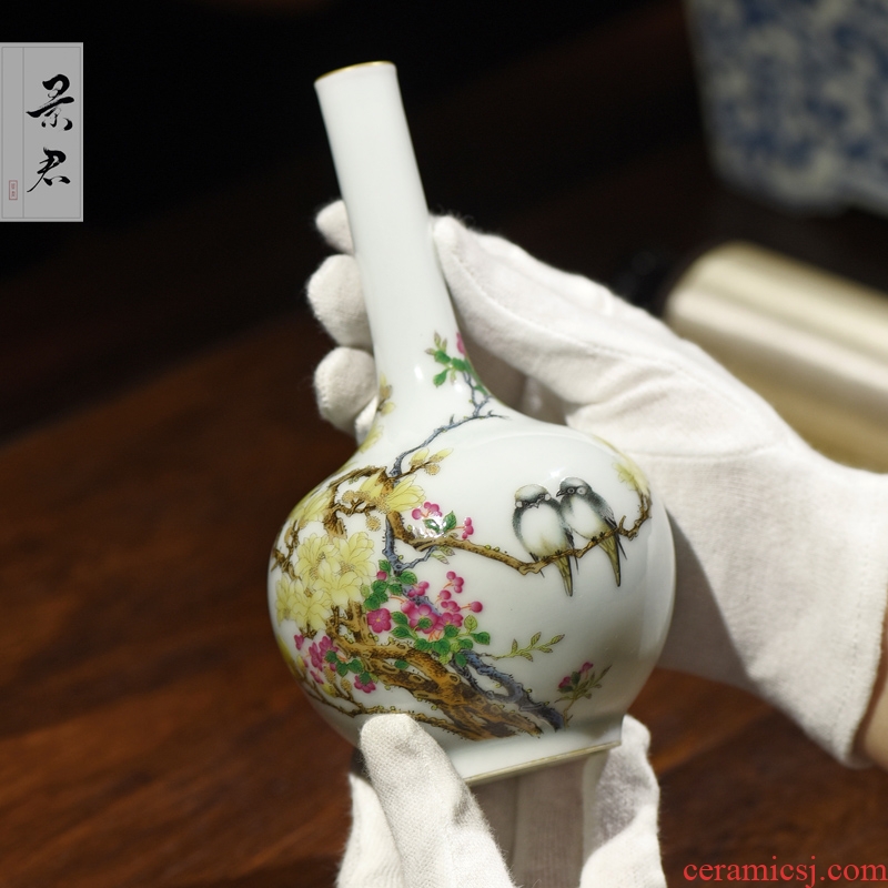 The Master of jingdezhen ceramics hand - made colored enamel Chinese vase furnishing articles sitting room porch decoration ceramics handicraft