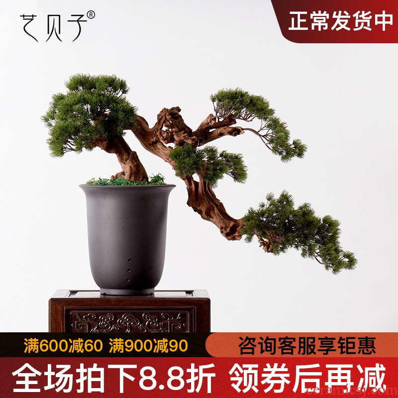 New Chinese style water simulation guest - the greeting pine wood rockery miniascape of I sitting room dry landscape ceramic study zen furnishing articles