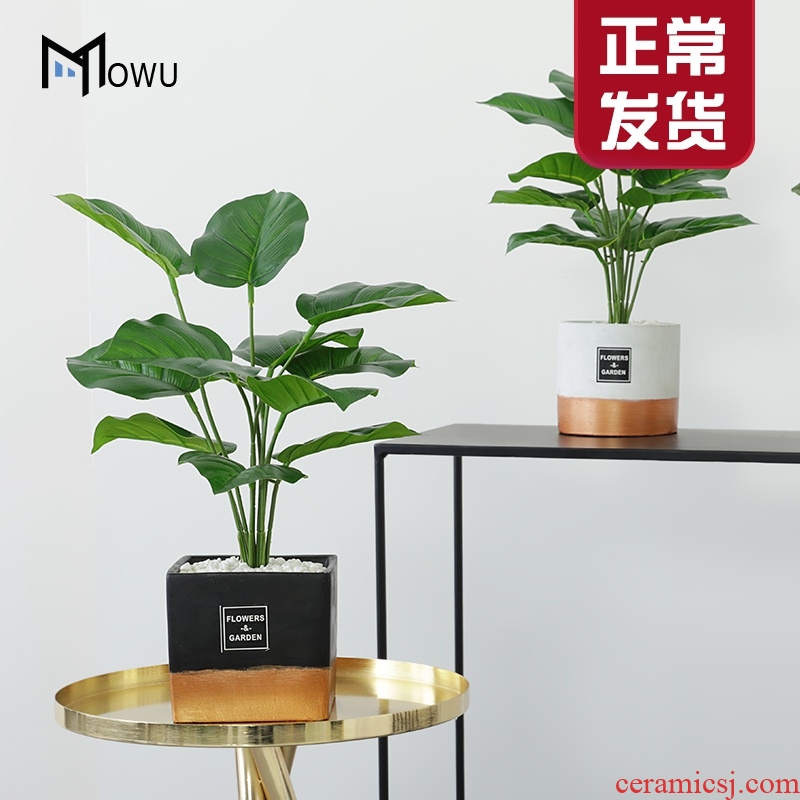 The house ins creative interior gold - plated ceramic simulation The plants potted Nordic style green plant adornment furnishing articles in The living room