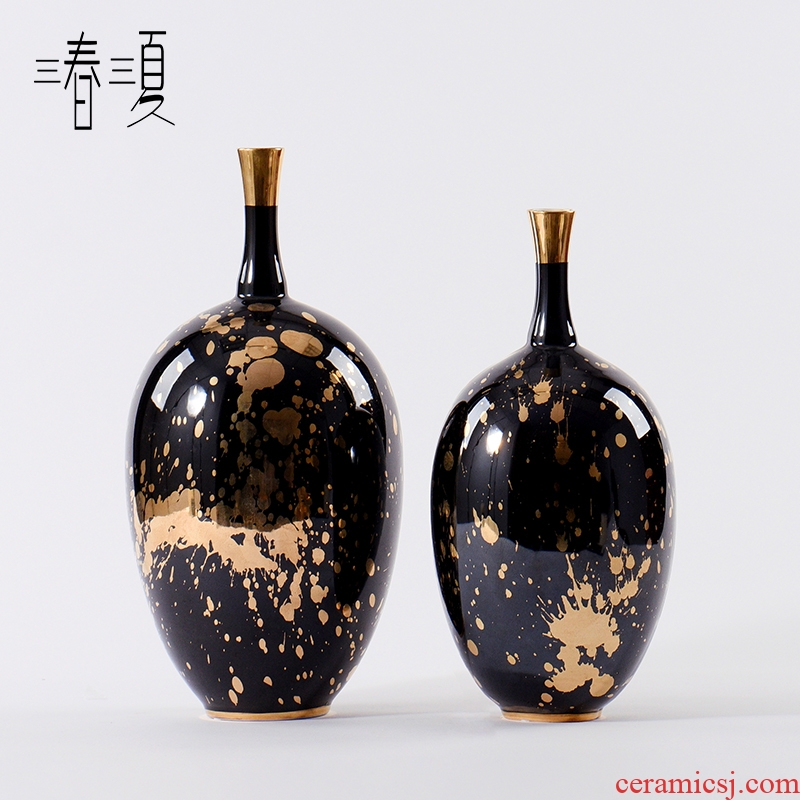 New Chinese style in modern light key-2 luxury black ink pen grain ceramic furnishing articles porch tea table edge ark, European fine expressions using the vase