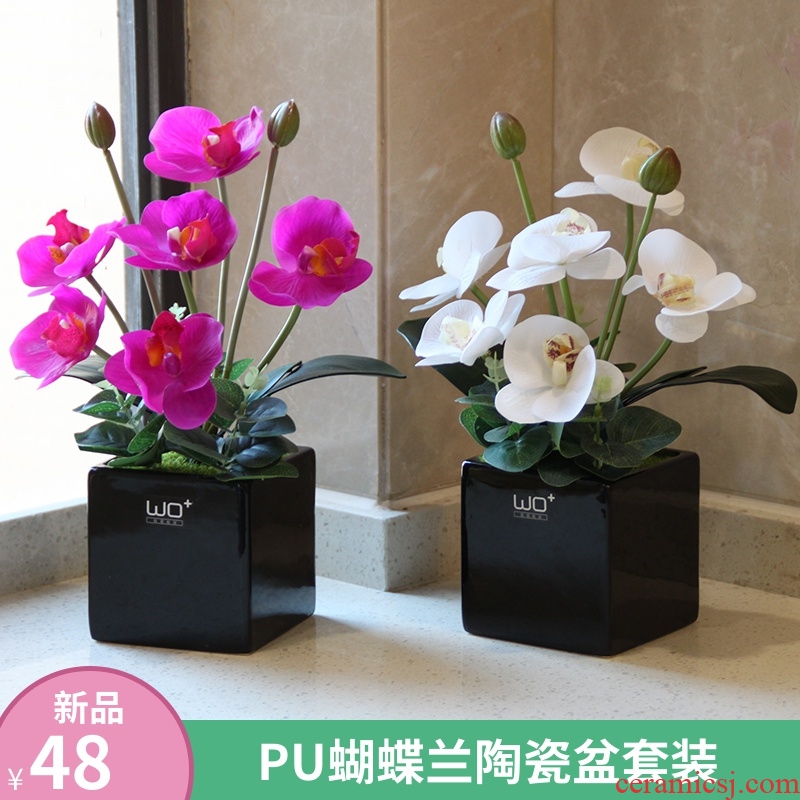 Send the PU + high simulation butterfly orchid floral suit I and contracted desktop conference decoration is seems ceramic flower pot