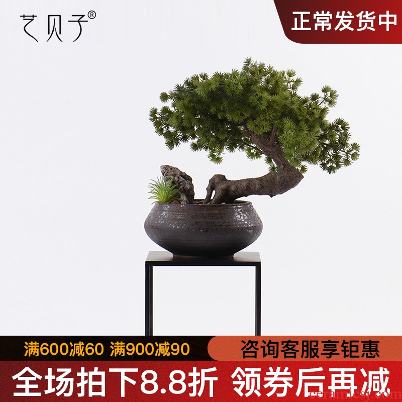New Chinese style guest - the greeting pine bonsai place dry landscape example room micro landscape, green plant ceramic pot home decoration