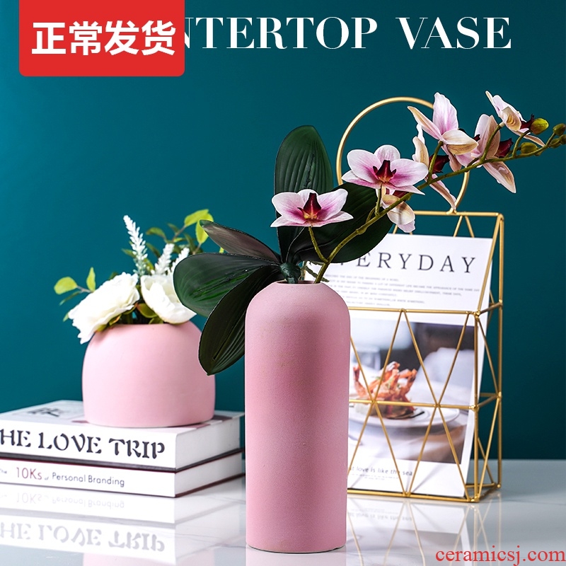 Nordic light and decoration vase dried flowers, flower arranging pink sitting room adornment table modern style of TV ark, ceramic furnishing articles