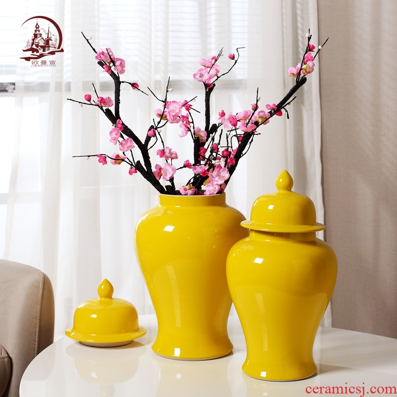 Modern Chinese style household general pot vase in the sitting room porch decoration flower arranging ceramic pot large TV ark, furnishing articles