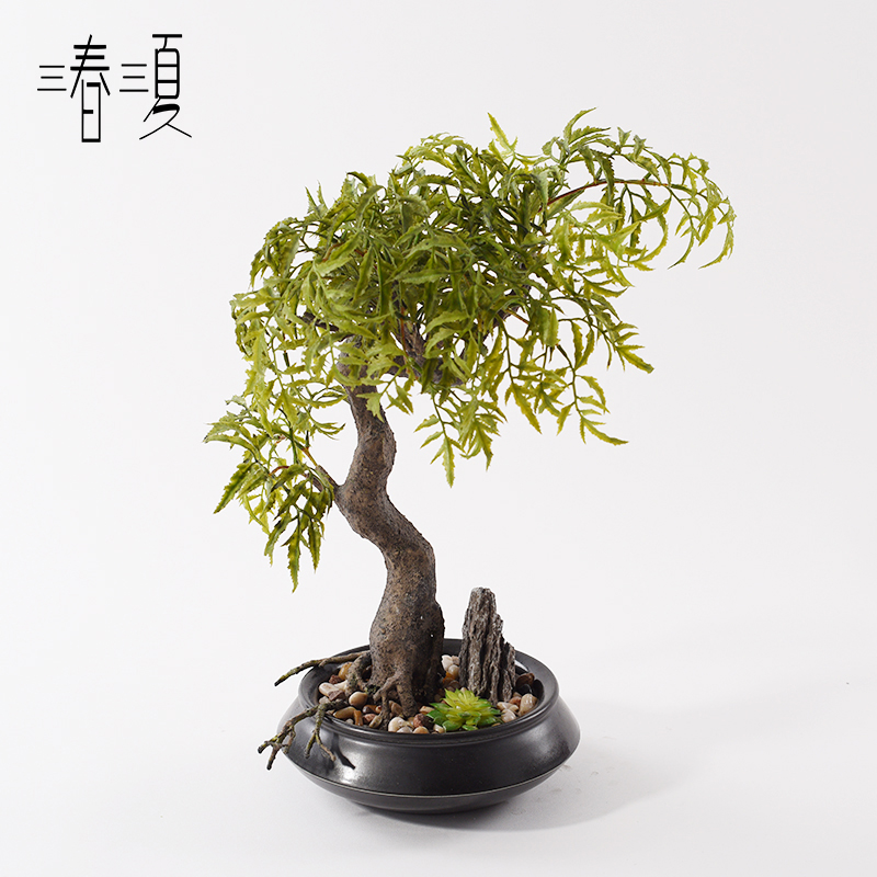 New Chinese style decoration office zen green the plants bonsai pottery pot pot porch pebble combination furnishing articles