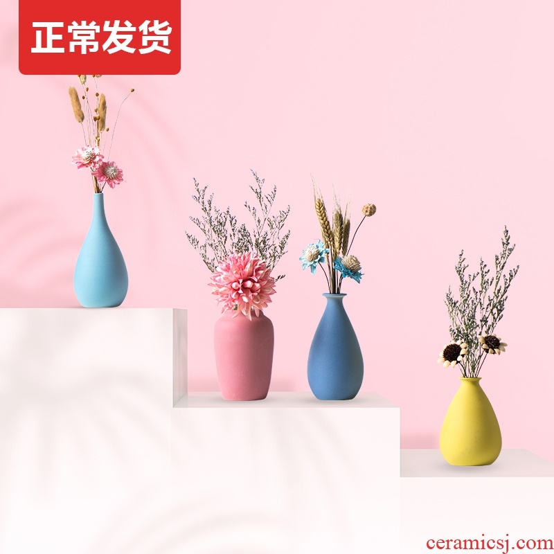 TV ark, dried flower adornment suit with floret bottle furnishing articles table sitting room flower arranging ceramic Nordic household act the role ofing is tasted