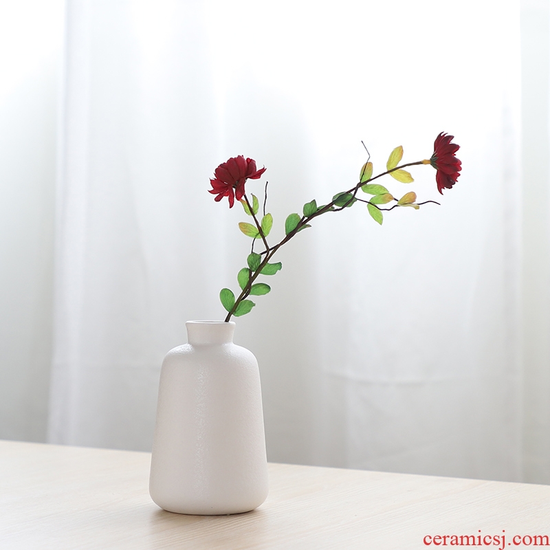South simulation flowers, dried flowers sheng I and contracted household act the role ofing is tasted ceramic vase hydroponic ins wind flowers, flower arranging furnishing articles