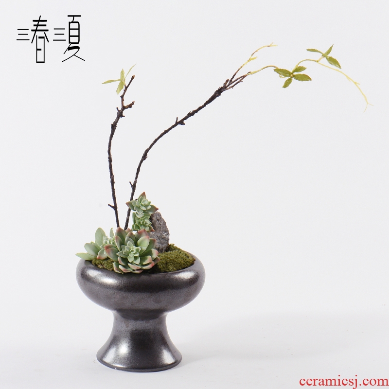 New Chinese style flower art stone bonsai the plants flower arranging flowers exchanger with the ceramics zen tea table rich ancient frame, green plant furnishing articles