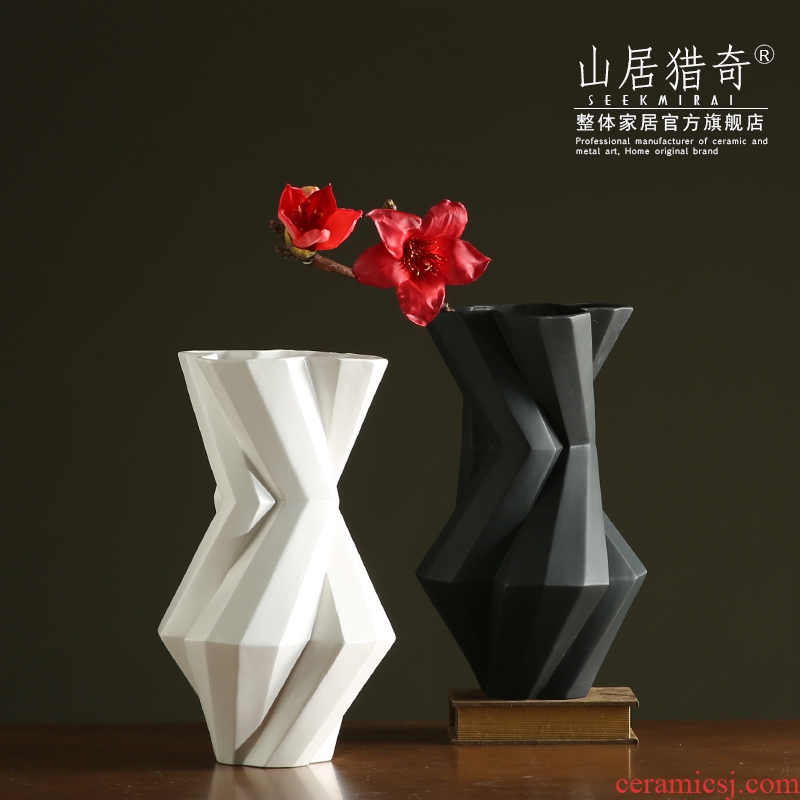 Modern living room between example art flower arranging furnishing articles Nordic geometric flower implement, black and white pigment ceramic vase