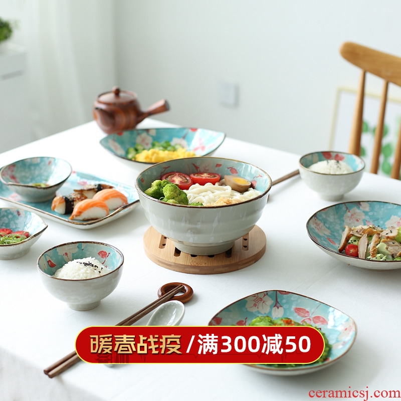 Sichuan in Japanese dishes chopsticks tableware suit dishes creative move web celebrity ceramic soup bowl household composition