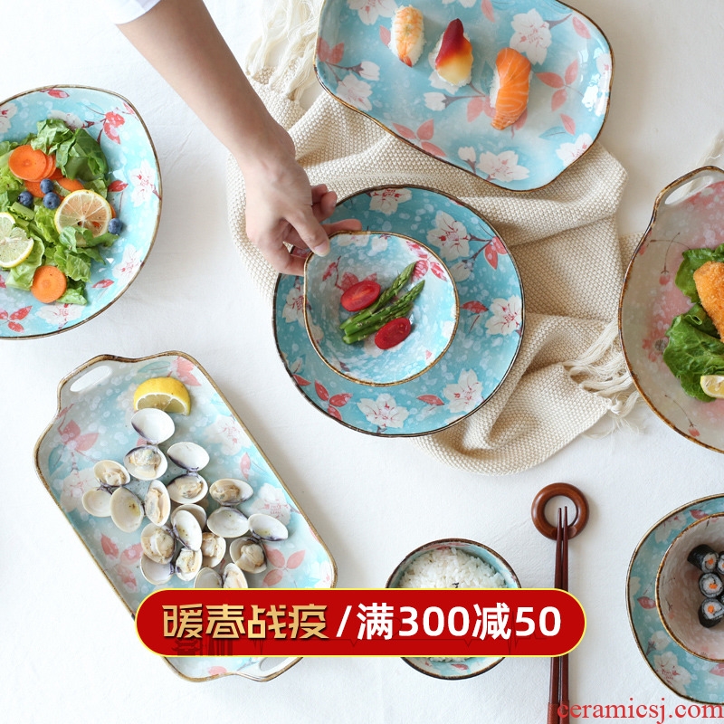 Sichuan in Japanese ceramics tableware dishes creative move individual bowl bowl noodles dishes suit household composition