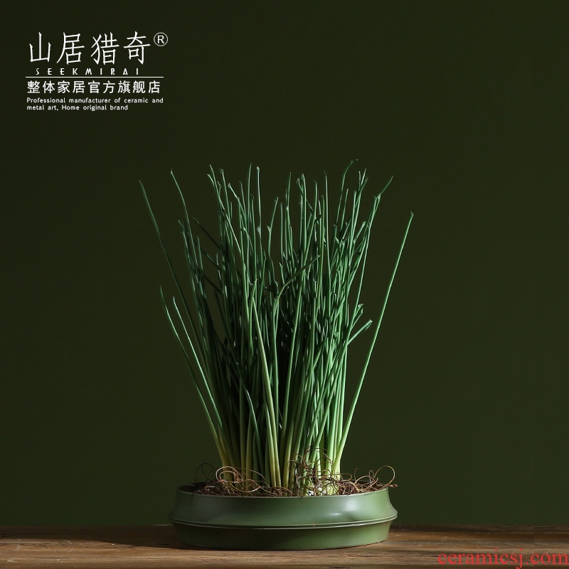 Lucky bamboo now rising refers to hydroponic flower implement creative home indoor meaty plant ceramic bamboo flower pot