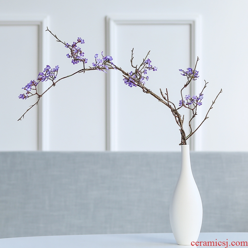 Nan sheng household act the role ofing is tasted ceramic vases, dried flower simulation TV ark, furnishing articles I and contracted sitting room adornment