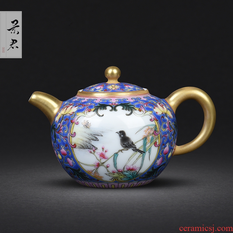 JingJun jingdezhen hand - drawn colored enamel POTS of flowers and birds medallion ceramic kung fu tea set single pot of tea tea