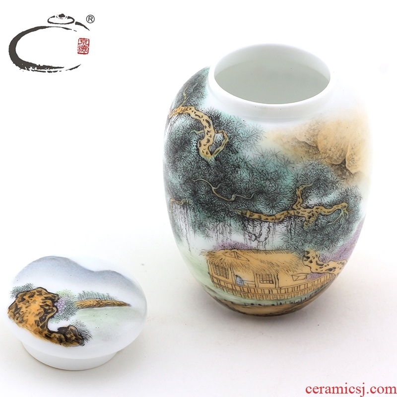 Old and auspicious porcelain craft works of li yong pastel landscape gao caddy fixings ceramic seal pot