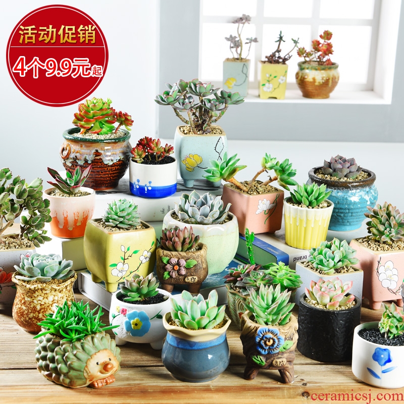 Hao chun fleshy potted plant violet arenaceous coarse pottery, green plastic contracted ceramic individuality creative small potted the plants wholesale