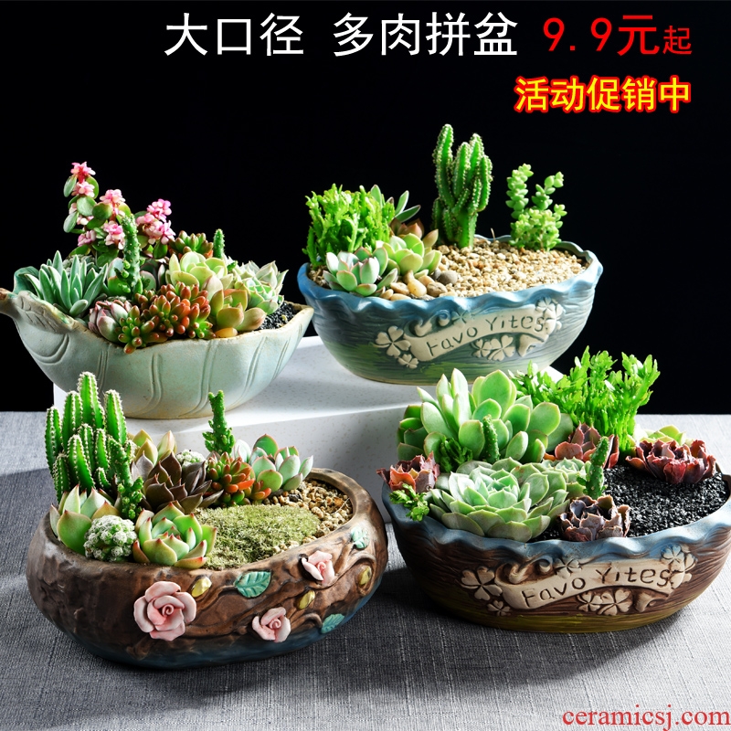 Large diameter contracted creative meaty plant flower pot wholesale ceramic purple sand flowerpot Large indoor flesh flower pot