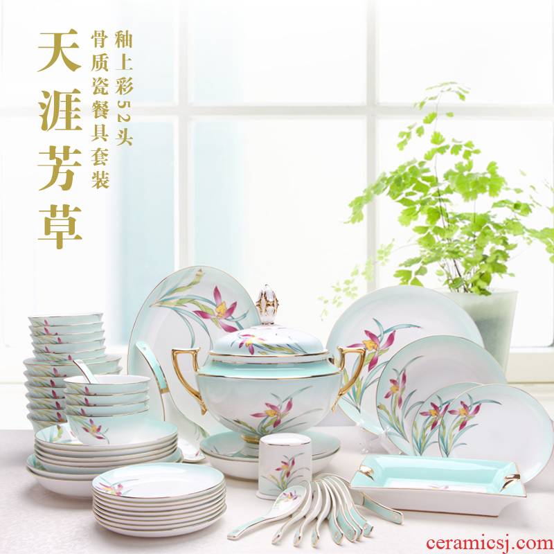 Tang Shanhong rose ipads China tableware dishes household contracted housewarming gift set ceramic tableware Europe type