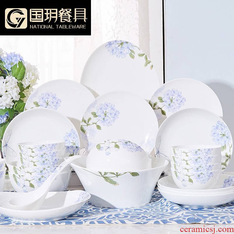 Countries he ipads porcelain tableware suit household portfolio eat bowl dish dishes suit suits for Chinese ceramic plate