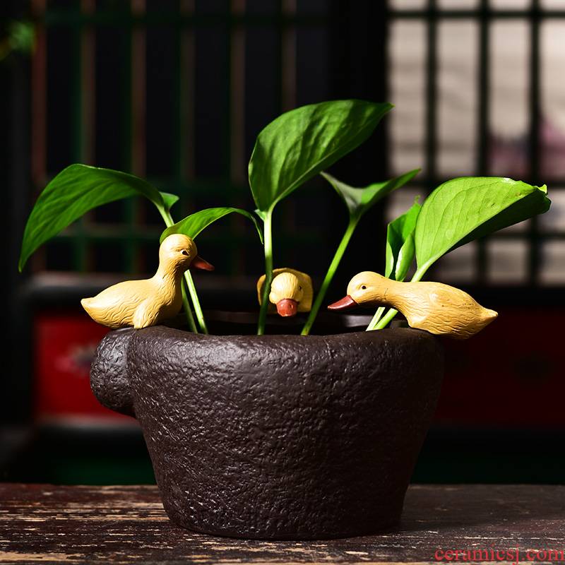 Creative hydroponic nonporous refers to flower pot ceramic balcony contracted water lily bowl lotus copper grass special money plant POTS