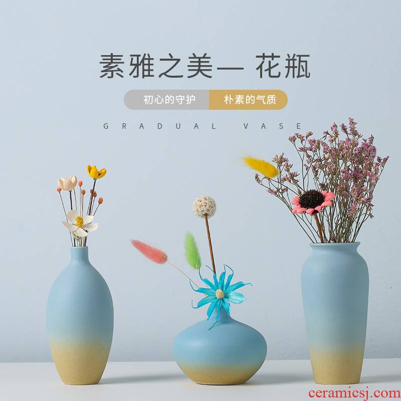 The Northern wind floret bottle sitting room place, TV ark, dried flower arranging flowers ceramic creative household table porch decoration
