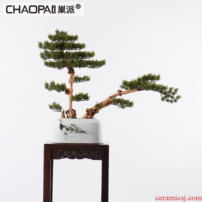 Modern Chinese style white ceramic vase simulation soft adornment guest - the greeting pine bonsai furnishing articles the hotel floor lobby