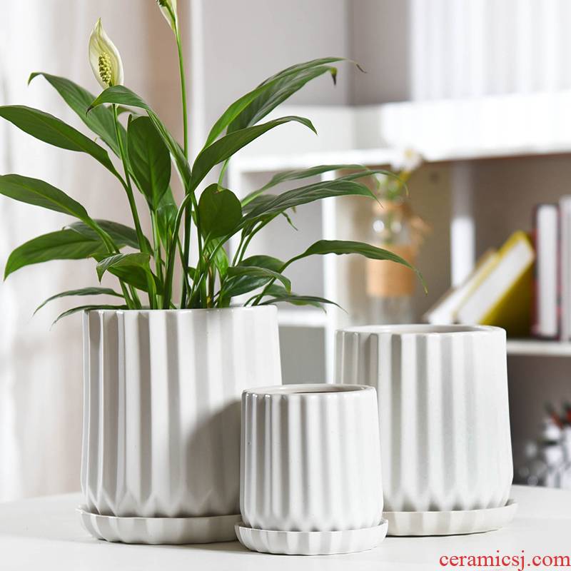 Flowerpot ceramic contracted white Nordic style of creative move pallet money plant green plant the plants mostly meat Flowerpot