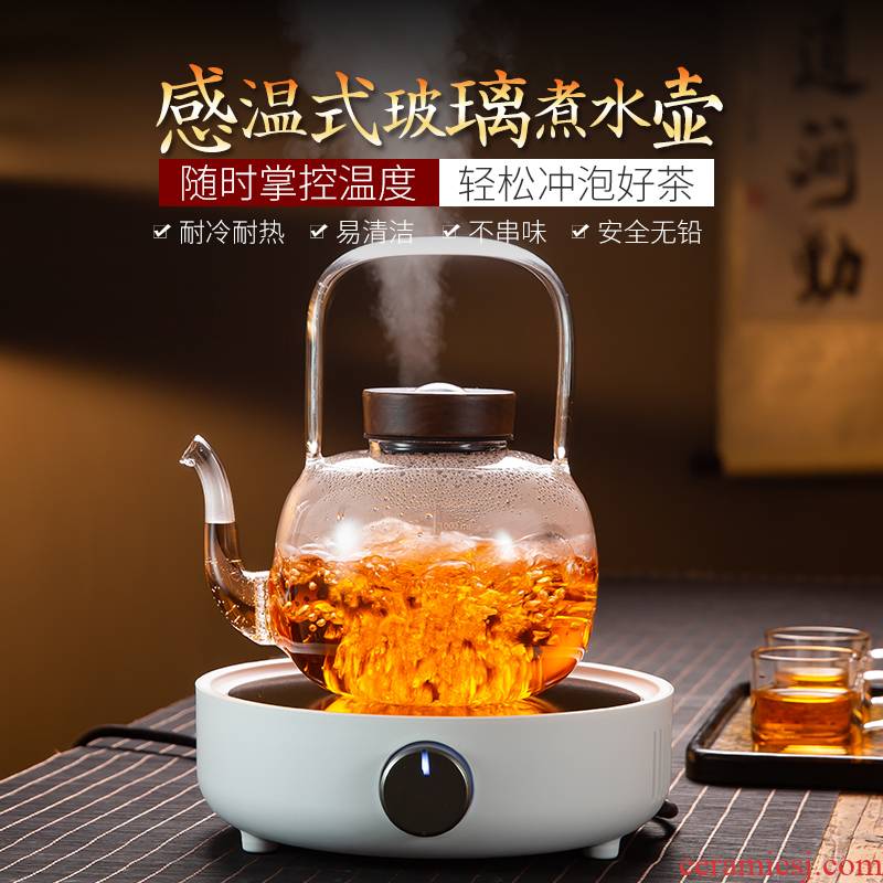 Taiwan thickening high - temperature thermal type glass pot teapot electric TaoLu tea set suits for the to boil tea DiLiang boil water