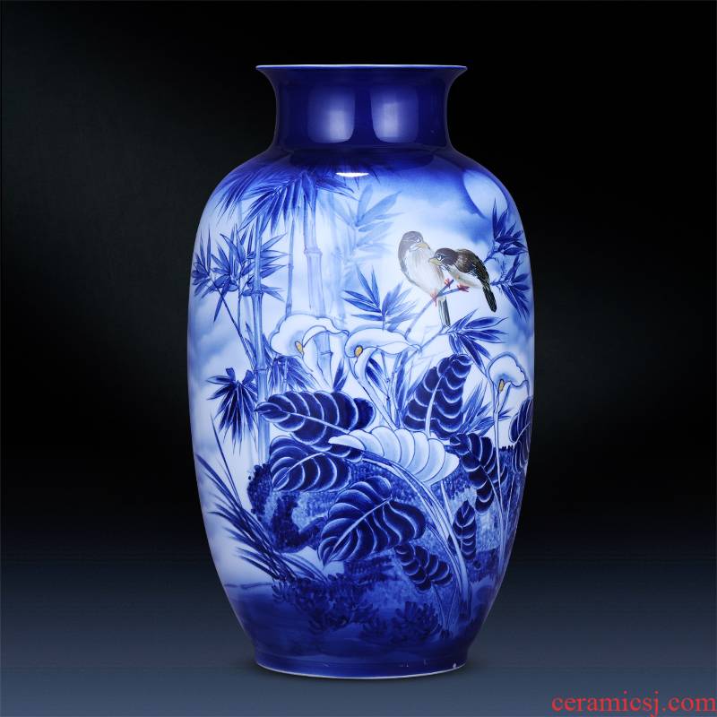 Jingdezhen ceramics hand - made of blue and white porcelain vase landed large wealth and auspicious idea gourd bottle expressions using porcelain furnishing articles