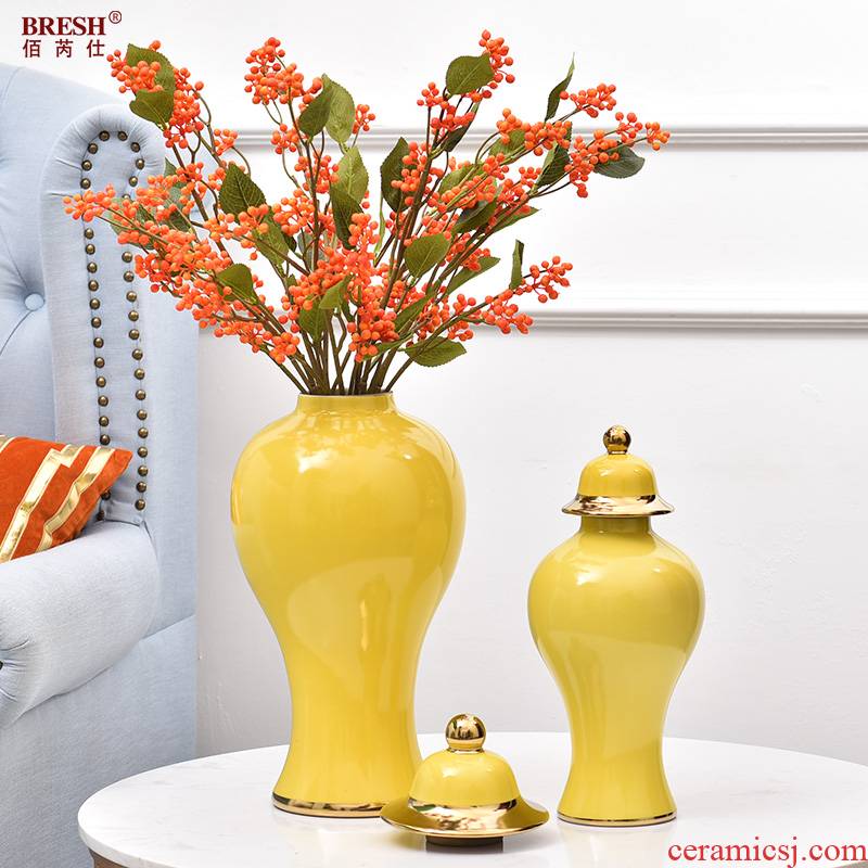 Creative light key-2 luxury ceramic vases, the sitting room TV wine porch home furnishing articles