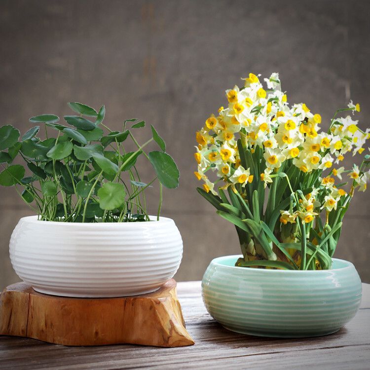 Small white refers to flower pot other ceramic hydroponic container without hole, water lily bowl lotus creative fleshy large copper grass