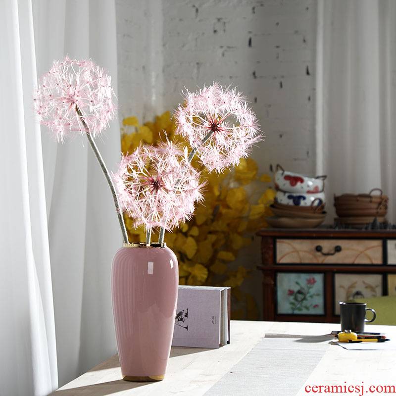 Nordic ins furnishing articles pink ceramic vase dandelion flower arrangement sitting room decoration is contracted and I household adornment