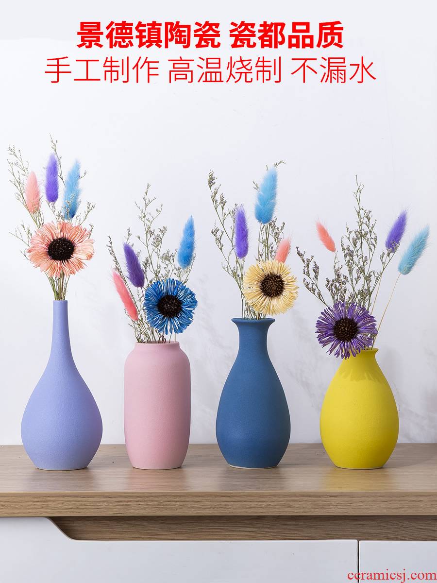 The Nordic floret bottle furnishing articles dried flower arranging flowers sitting room adornment table, TV ark, household ceramics with modern decoration
