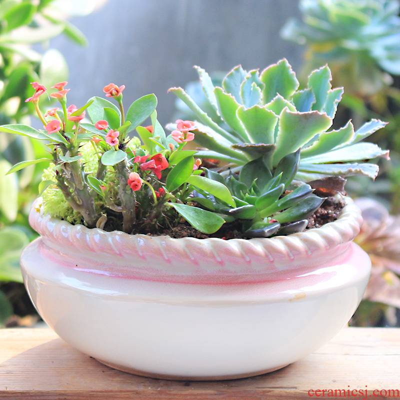 Fleshy flowerpot classic pink breathable retro flower pot ceramic large creative desktop meat meat home balcony flowerpot