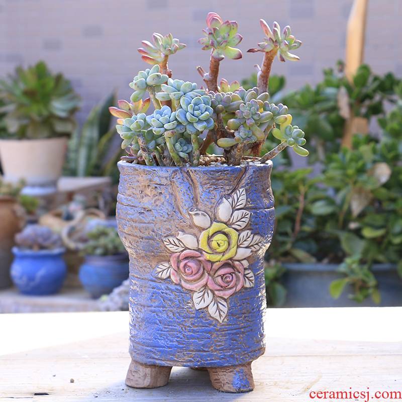Fleshy gop running the flowerpot ceramic basin through pockets large special offer a clearance, Fleshy tao meaty plant mage flowerpot
