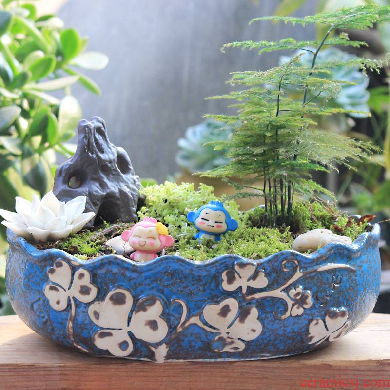 Large - diameter fleshy meat meat, green plant contracted creative flowerpot ceramics is increasing in wide expressions using pot basin of Large special offer a clearance