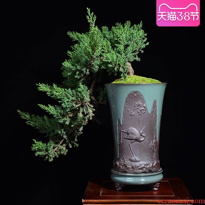 Ceramic purple orchid basin large indoor green plant bonsai new Chinese style high creative potted guest - the greeting pine special orchid pot