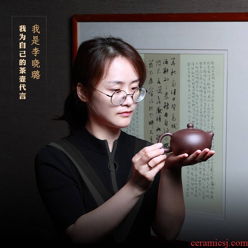 Yixing it manual teapot with household suit famous xiao - lu li high - capacity xi shi