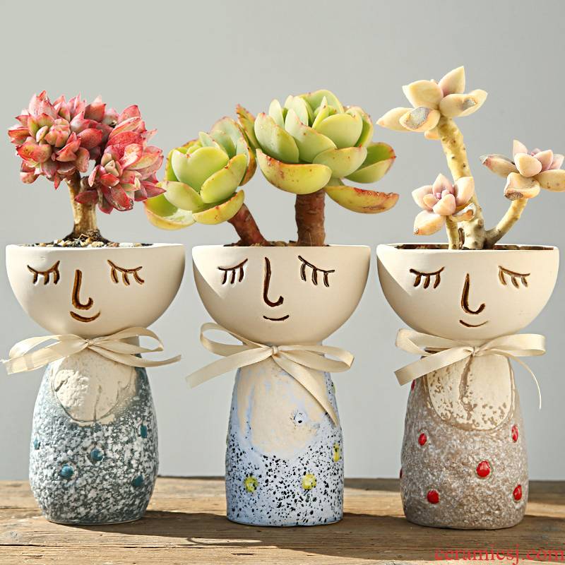 Lovely cartoon characters fleshy flower POTS decoration intention coarse pottery flowerpot clearance package mail furnishing articles large move