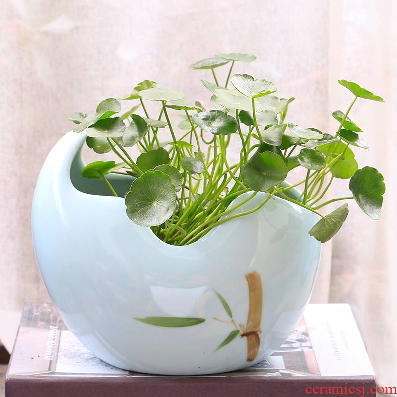 Large hydroponic fleshy flowerpot creative copper bowl lotus lotus lotus grass without special offer a clearance hole money ceramics