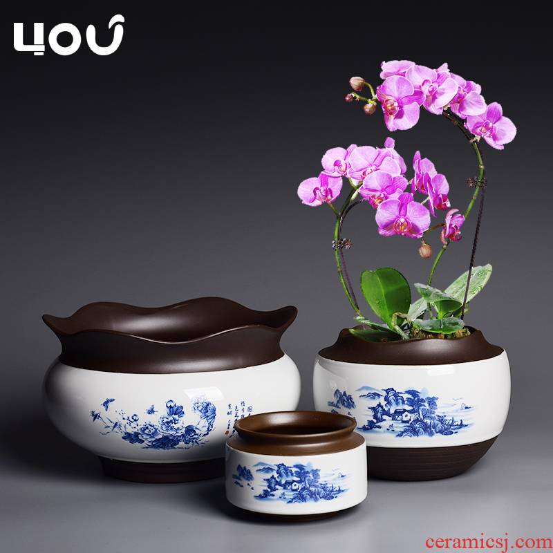 Large Chinese blue and white porcelain pot ceramics retro violet arenaceous butterfly orchid special creative green plant bonsai POTS of household
