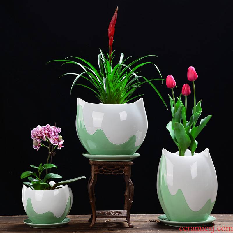 YOU large money plant celadon ceramic flower POTS with tray orchid pot pot meat meat, green potted the plants, fleshy