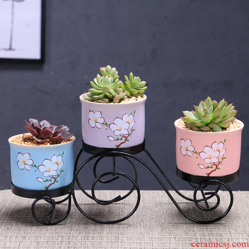 Marca dragon flowerpot ceramic large special offer a clearance package mail more than other small meat the plants flower pot, wrought iron pallets